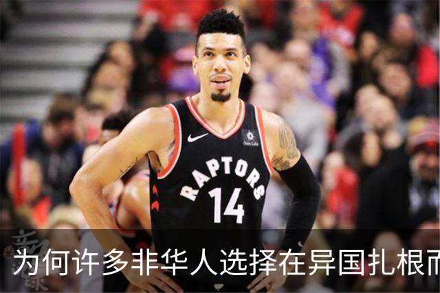 为何许多非华人选择在异国扎根而非归乡