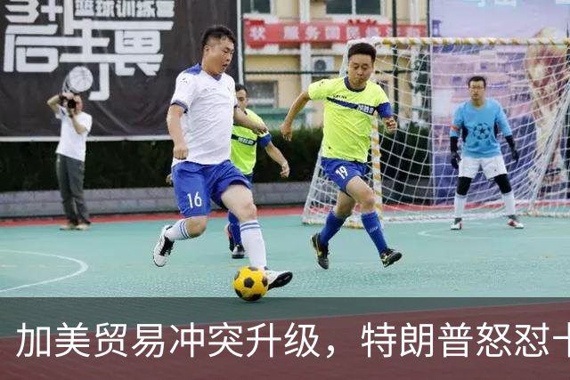 加美贸易冲突升级，特朗普怒怼卡尼